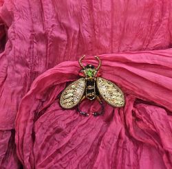 Erfurt koriste ötökkä hakaneulalla, käsityötä Kulta raita kuoriainen siivillä